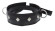 Полиуретановый ошейник с пуклями и D-кольцами Collar with Studs Полиуретановый ошейник с пуклями и D-кольцами Collar with Studs