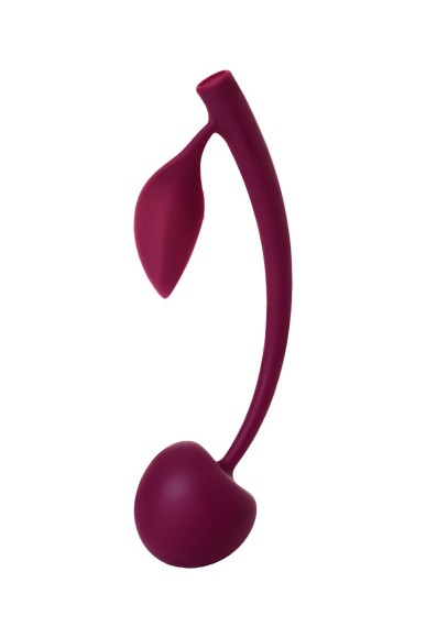 Бордовая вагинальная вишенка WILD CHERRY - 13 см. Бордовая вагинальная вишенка WILD CHERRY - 13 см.