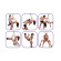 Секс-качели Fantasy Bondage Swing White Секс-качели Fantasy Bondage Swing White