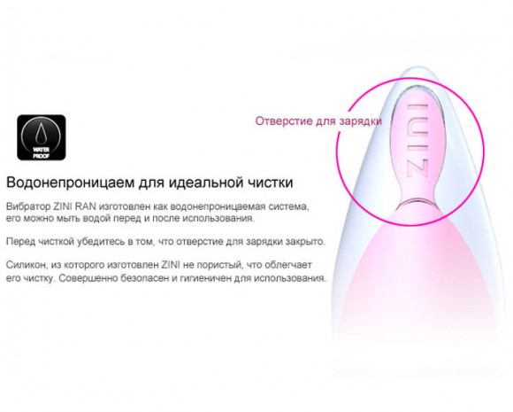 Вибратор ZINI RAN черного цвета с золотыми вставками Вибратор ZINI RAN черного цвета с золотыми вставками