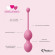 Набор из 3 розовых вагинальных шариков FemmeFit Advanced Pelvic Muscle Training Set Набор из 3 розовых вагинальных шариков FemmeFit Advanced Pelvic Muscle Training Set